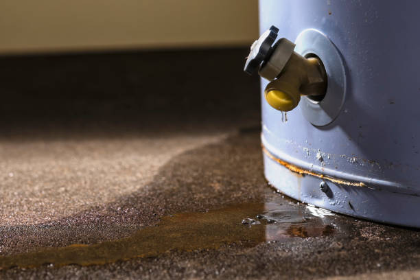 Best Commercial water damage restoration  in Roanoke, AL