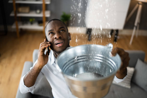 Best Residential water damage restoration  in Roanoke, AL