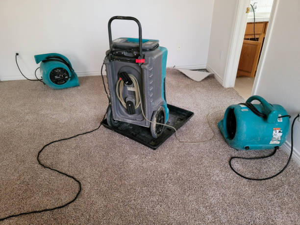Best Emergency water damage restoration  in Roanoke, AL