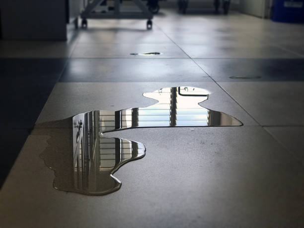 Best 24/7 water damage repair  in Roanoke, AL