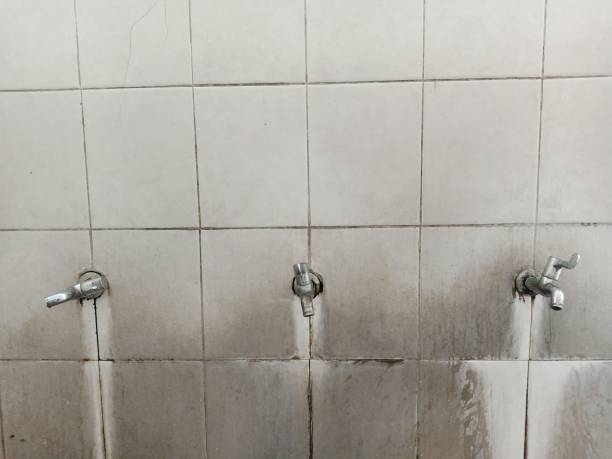 Best Carpet water damage restoration  in Roanoke, AL