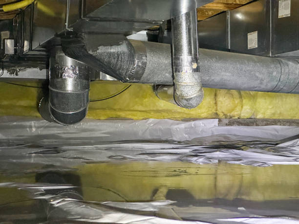 Best Flood damage cleanup  in Roanoke, AL