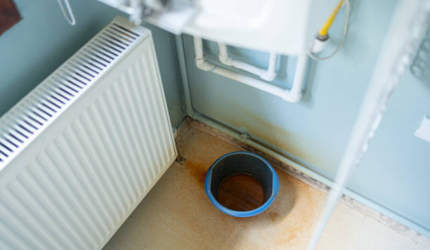 Best Basement water damage restoration  in Roanoke, AL