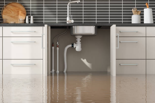Best Water damage repair service  in Roanoke, AL