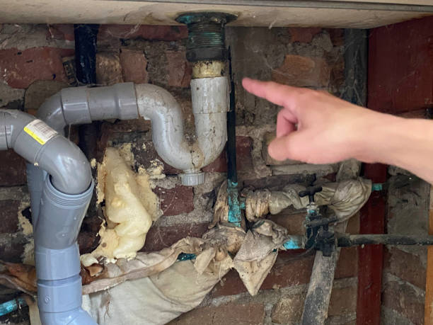 Best Water damage restoration near me  in Roanoke, AL