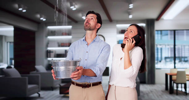 Best Water damage restoration mold remediation  in Roanoke, AL