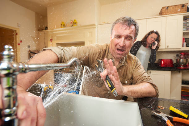 Best Sewage cleanup and water damage restoration  in Roanoke, AL
